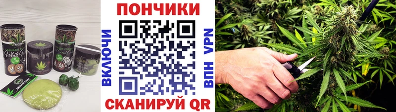 где можно купить   omg ТОР  Печенье с ТГК марихуана  Зеленокумск 