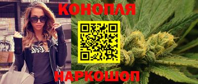 прущие крисы Аргун