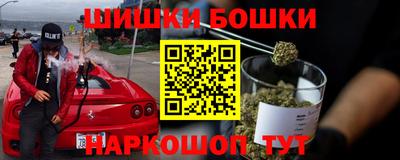 гидропоника Будённовск
