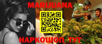гидропоника Будённовск