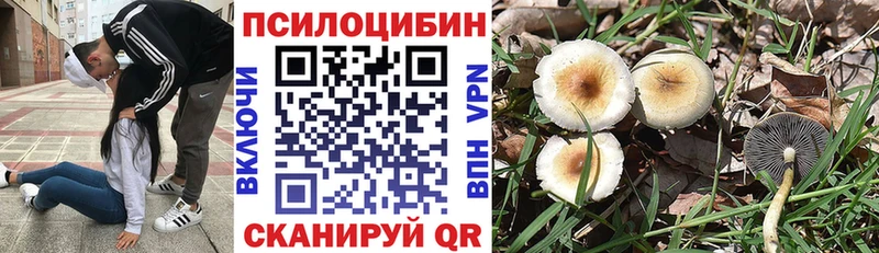 Галлюциногенные грибы прущие грибы  hydra сайт  Зеленокумск  даркнет сайт 