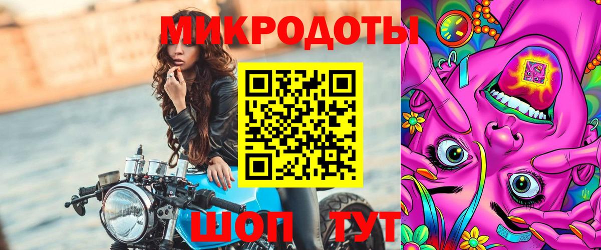 Псилоцибиновые грибы Cubensis  Зеленокумск  Псилоцибиновые грибы Psilocybe 