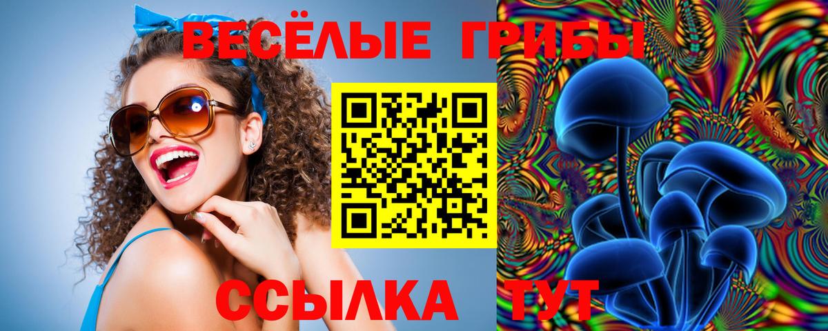 Зеленокумск  где можно купить   Псилоцибиновые грибы MAGIC MUSHROOMS  Вход с VPN  Псилоцибиновые грибы MAGIC MUSHROOMS 