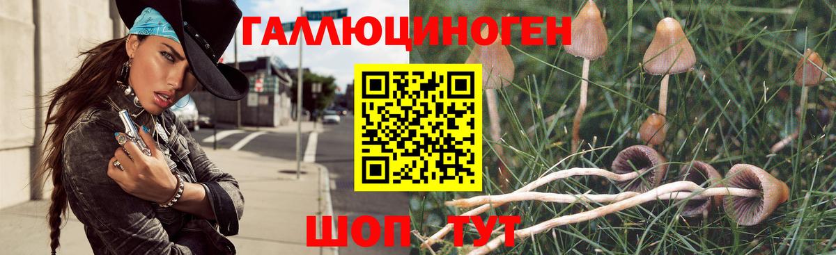Галлюциногенные грибы Magic Shrooms Зеленокумск