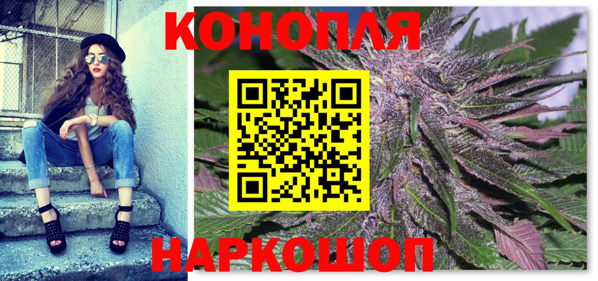 Каннабис планчик Зеленокумск